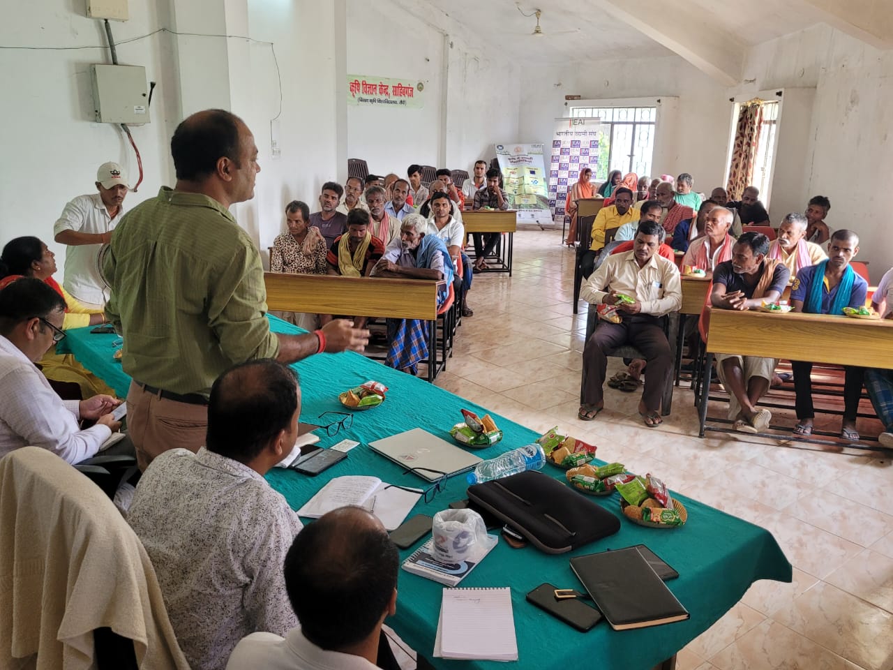 Local farmer harvesting fresh organic sweet corn